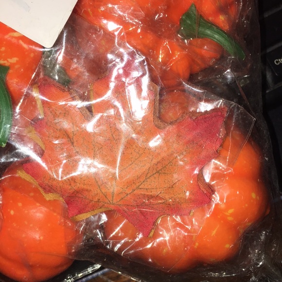 12 orange Pumkins for Decerating w/ fall leaves - Picture 2 of 2